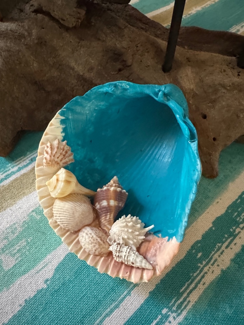 Seashell Decor - Picture 3 of 3